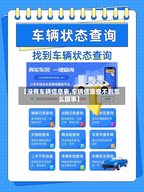 【没有车辆信息表,车辆信息查不到怎么回事】