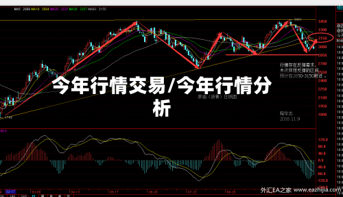 今年行情交易/今年行情分析