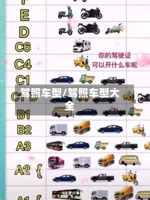 驾照车型/驾照车型大全-第2张图片