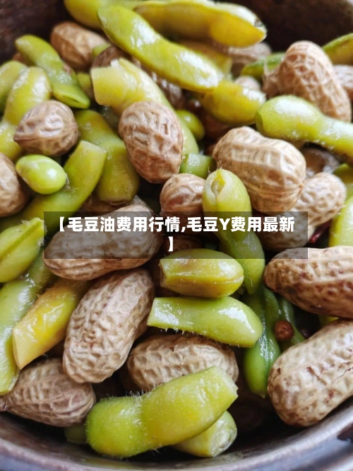 【毛豆油费用行情,毛豆Y费用最新】