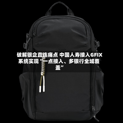 破解银企直连痛点 中国人寿接入GFIX系统实现“一点接入、多银行全域覆盖”