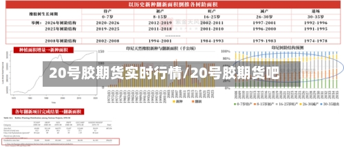 20号胶期货实时行情/20号胶期货吧-第3张图片