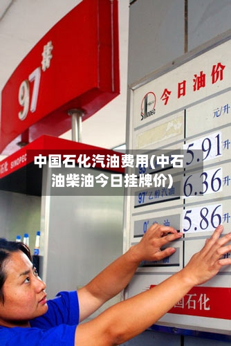 中国石化汽油费用(中石油柴油今日挂牌价)