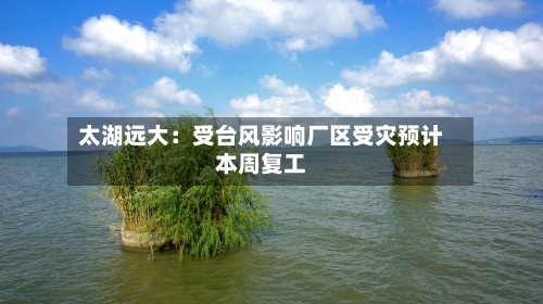 太湖远大：受台风影响厂区受灾预计本周复工