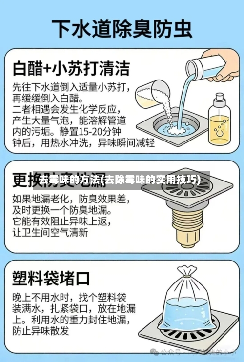 去霉味的方法(去除霉味的实用技巧)