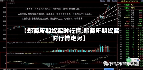 【郑商所期货实时行情,郑商所期货实时行情走势】
