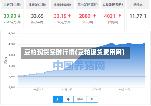 豆粕现货实时行情(豆粕现货费用网)-第2张图片