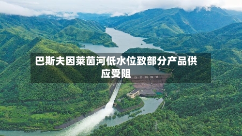 巴斯夫因莱茵河低水位致部分产品供应受阻
