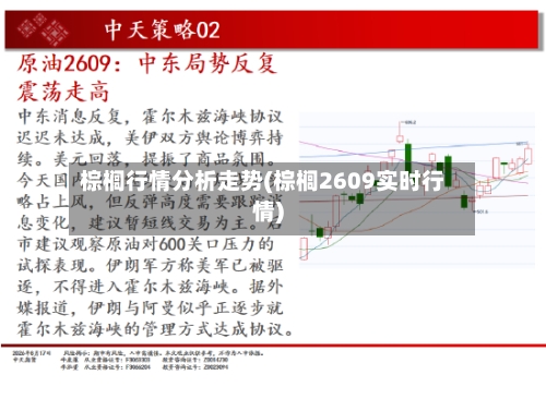 棕榈行情分析走势(棕榈2609实时行情)
