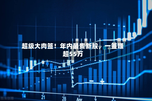 超级大肉签！年内最贵新股	，一签赚超55万-第2张图片