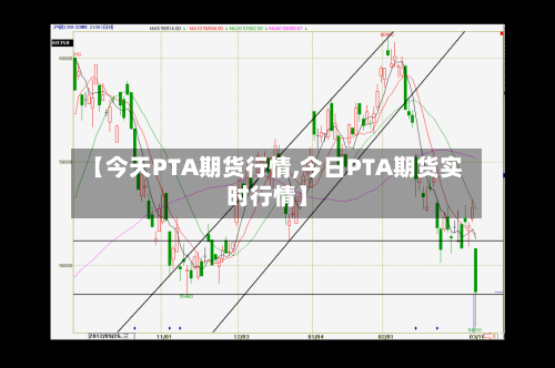 【今天PTA期货行情,今日PTA期货实时行情】-第3张图片