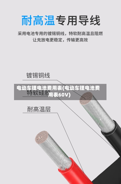电动车锂电池费用表(电动车锂电池费用表60V)