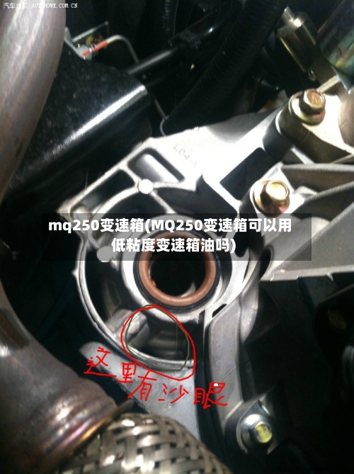 mq250变速箱(MQ250变速箱可以用低粘度变速箱油吗)-第3张图片