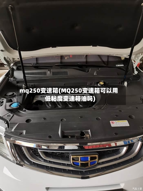 mq250变速箱(MQ250变速箱可以用低粘度变速箱油吗)
