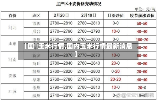 【国內玉米行情,国内玉米行情最新消息】