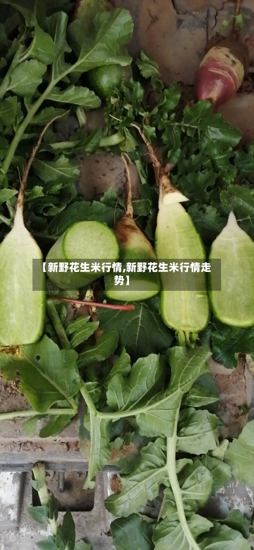 【新野花生米行情,新野花生米行情走势】-第3张图片