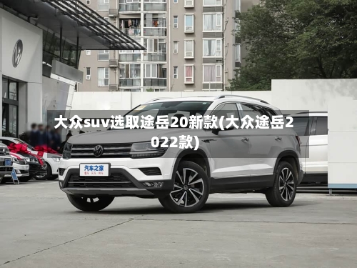 大众suv选取途岳20新款(大众途岳2022款)-第2张图片