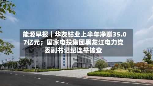 能源早报｜华友钴业上半年净赚35.07亿元；国家电投集团黑龙江电力党委副书记纪连举被查-第2张图片
