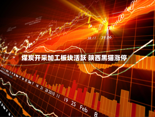 煤炭开采加工板块活跃 陕西黑猫涨停