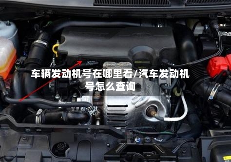 车辆发动机号在哪里看/汽车发动机号怎么查询-第2张图片