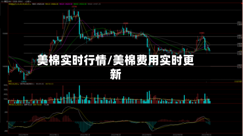 美棉实时行情/美棉费用实时更新-第2张图片