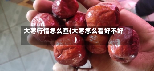 大枣行情怎么查(大枣怎么看好不好)