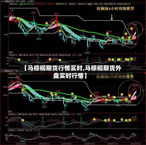 【马棕榈期货行情实时,马棕榈期货外盘实时行情】