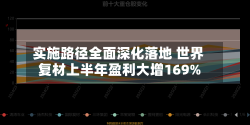 实施路径全面深化落地 世界复材上半年盈利大增169%-第2张图片
