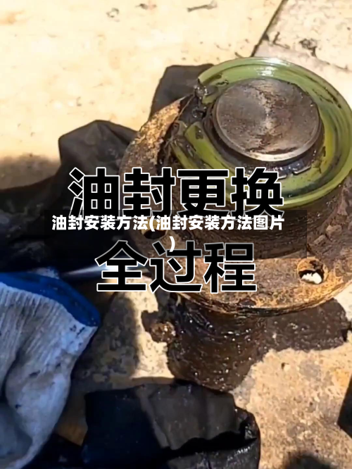 油封安装方法(油封安装方法图片)