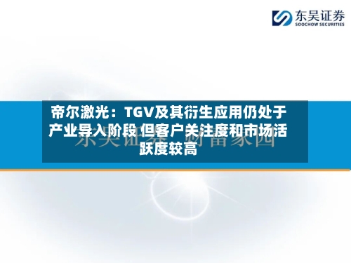 帝尔激光：TGV及其衍生应用仍处于产业导入阶段 但客户关注度和市场活跃度较高-第2张图片