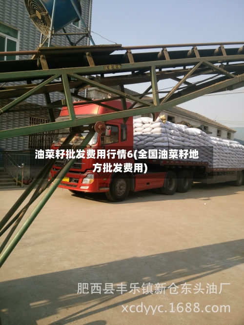 油菜籽批发费用行情6(全国油菜籽地方批发费用)