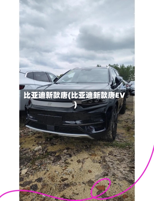 比亚迪新款唐(比亚迪新款唐EV)-第2张图片