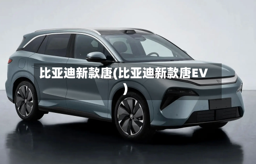 比亚迪新款唐(比亚迪新款唐EV)-第3张图片
