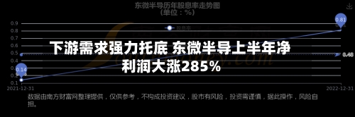 下游需求强力托底 东微半导上半年净利润大涨285%
