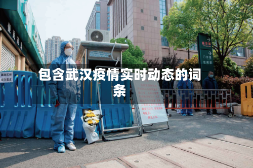 包含武汉疫情实时动态的词条-第3张图片