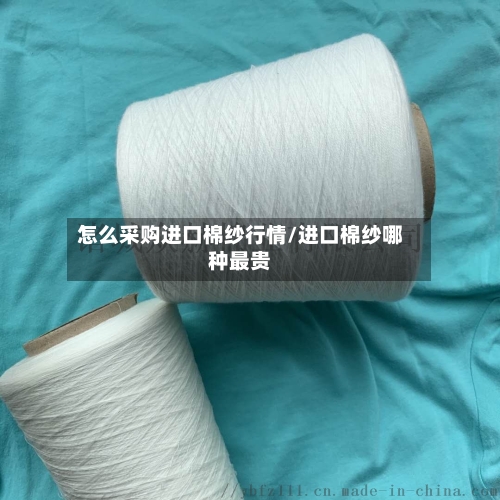 怎么采购进口棉纱行情/进口棉纱哪种最贵