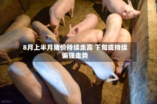 8月上半月猪价持续走高 下旬或持续偏强走势-第1张图片