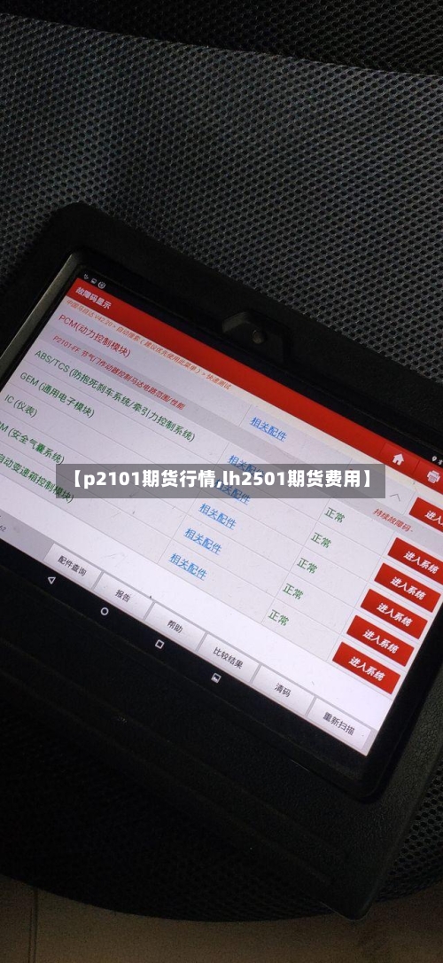 【p2101期货行情,lh2501期货费用】-第3张图片