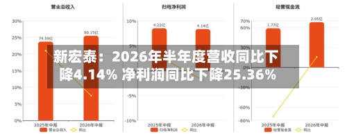 新宏泰：2026年半年度营收同比下降4.14% 净利润同比下降25.36%-第1张图片