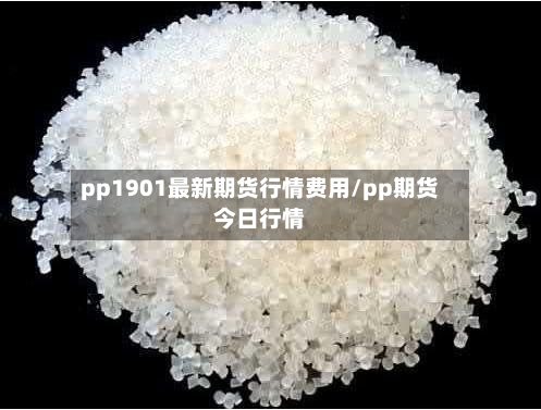 pp1901最新期货行情费用/pp期货今日行情