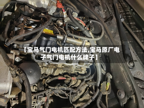 【宝马气门电机匹配方法,宝马原厂电子气门电机什么牌子】-第3张图片