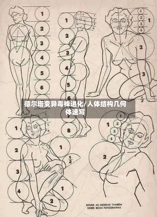 德尔塔变异毒株进化/人体结构几何体速写