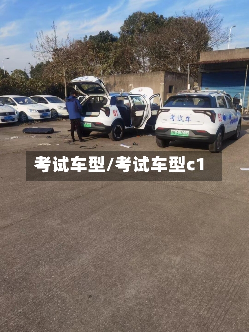 考试车型/考试车型c1-第2张图片
