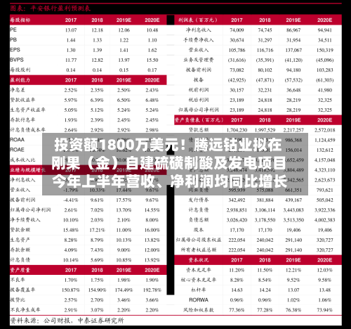 投资额1800万美元！腾远钴业拟在刚果（金）自建硫磺制酸及发电项目 今年上半年营收	、净利润均同比增长-第2张图片