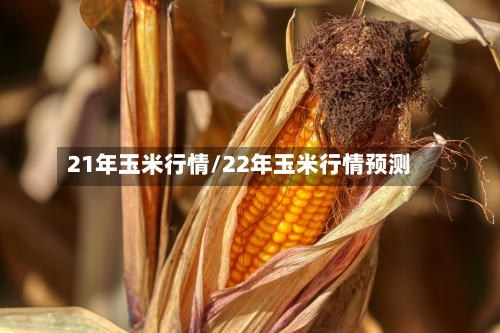 21年玉米行情/22年玉米行情预测