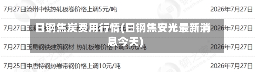 日钢焦炭费用行情(日钢焦安光最新消息今天)-第2张图片