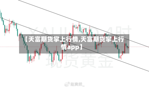 【天富期货掌上行情,天富期货掌上行情app】-第2张图片