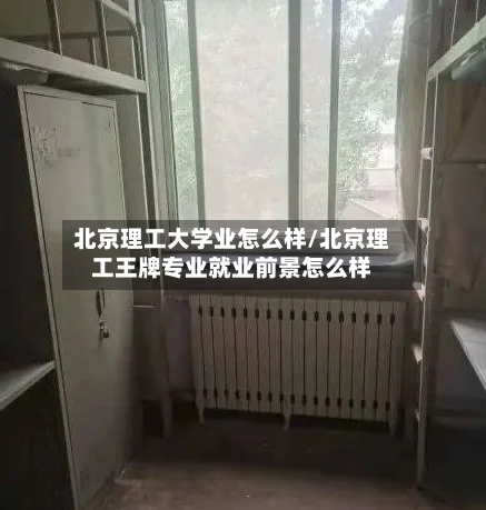 北京理工大学业怎么样/北京理工王牌专业就业前景怎么样-第2张图片