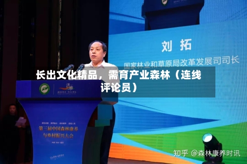 长出文化精品，需育产业森林（连线评论员）-第2张图片