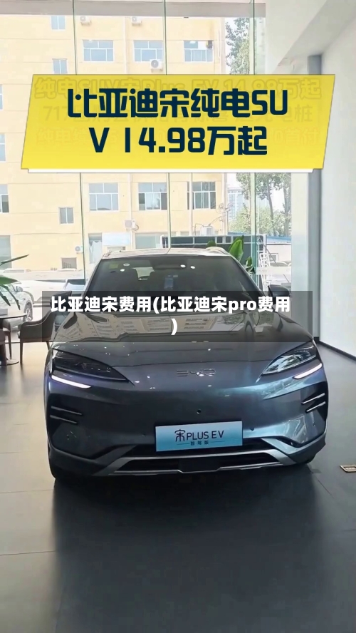 比亚迪宋费用(比亚迪宋pro费用)